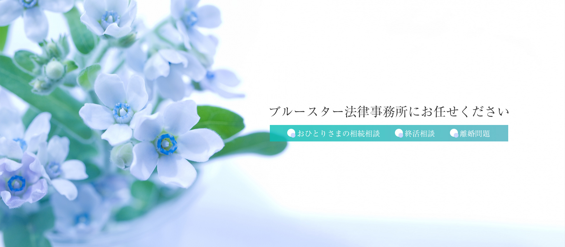 相続相談、終活相談、離婚問題、ブルースター法律事務所にお任せください。